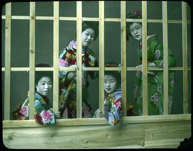 geisha xinh đẹp geisha xinh đẹp